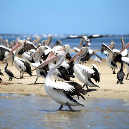 The Hutt On Mandurah Marinaアパートメント エクステリア 写真