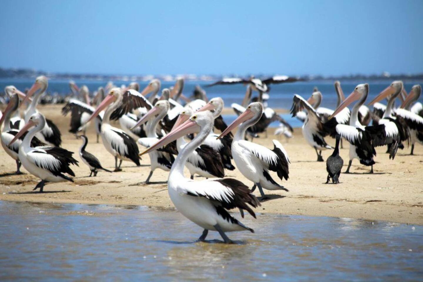 The Hutt On Mandurah Marinaアパートメント エクステリア 写真